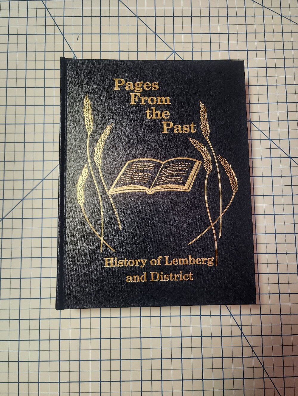Pages From the Past - History of Lemberg and District Hardcover